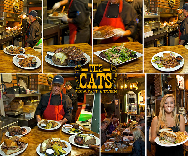 thecats_food_small